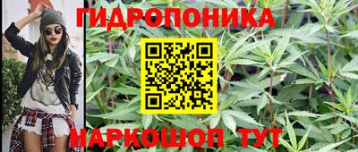 гидропоника Шахты
